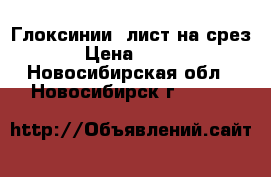 Глоксинии  лист на срез › Цена ­ 100 - Новосибирская обл., Новосибирск г.  »    